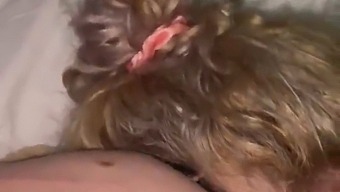 Мои Извинения, Любимая. Позвольте Мне Ублажить Вас Своим Ротиком.