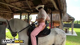 Rachel Starr Viser Sine Fantastiske Færdigheder I At Ride På Både En Hest Og En Penis.